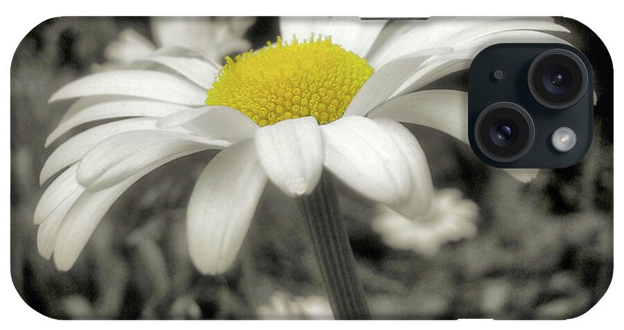 Always iPhone Case featuring the photograph Pay It Forward by JAMART Photography