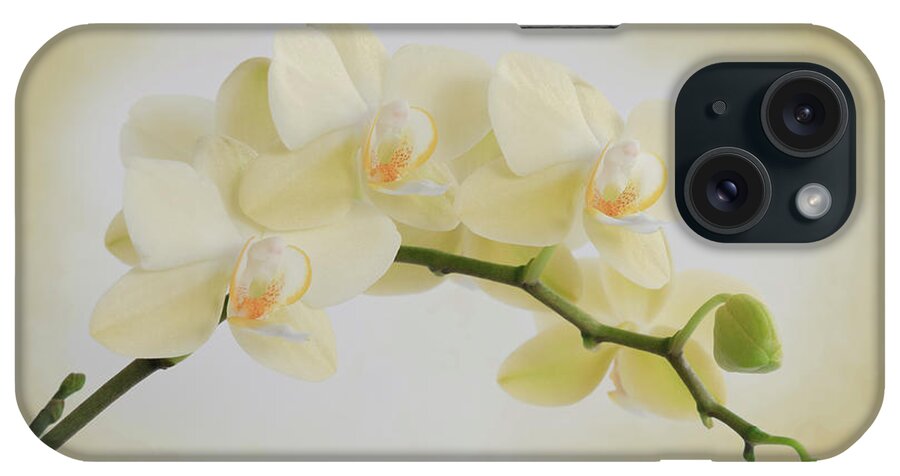 Flower iPhone Case featuring the photograph Yellow Cream Orchid Spray by Patti Deters