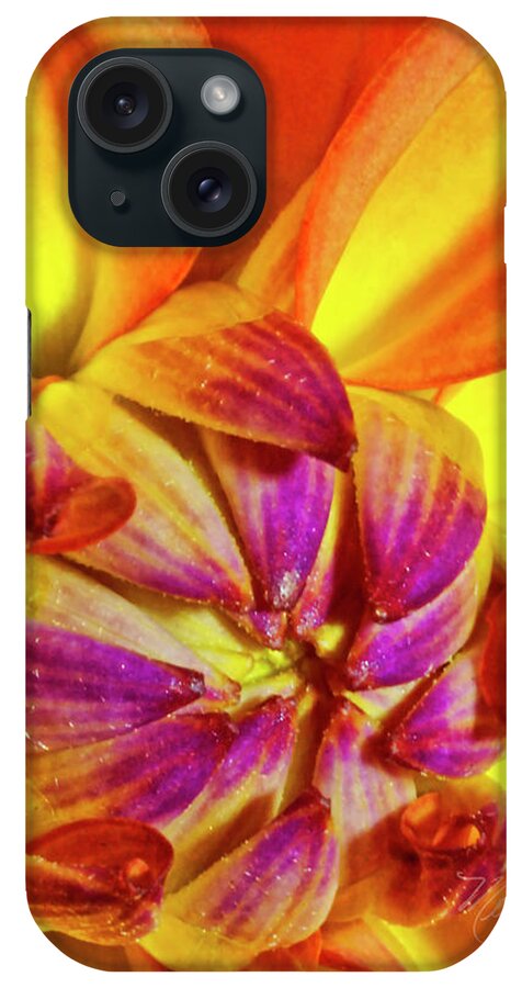 Macro Photography iPhone Case featuring the photograph Peach Purple Flower by Meta Gatschenberger