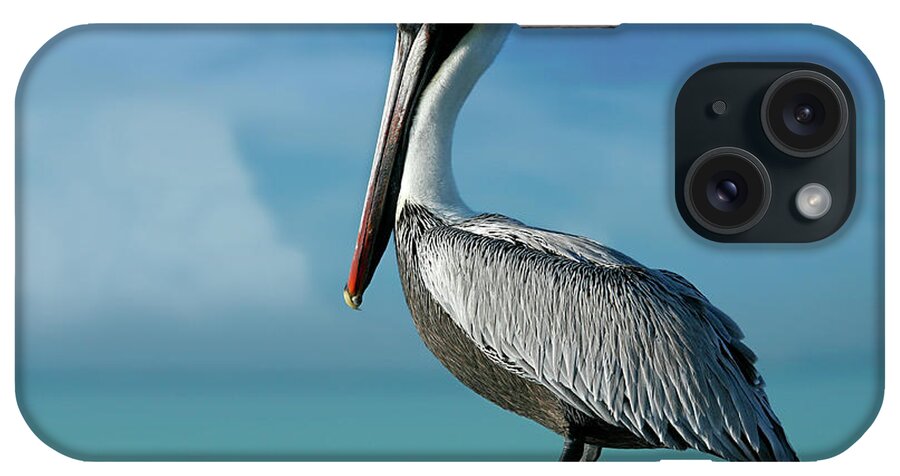 Pelican 8641 iPhone Case featuring the painting Pelican 8641 by Mike Jones Photo