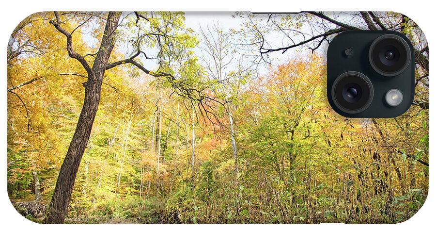 Philadelphia iPhone Case featuring the photograph Pennypack Woods, Philadelphia Landmark, Autumn by A Macarthur Gurmankin