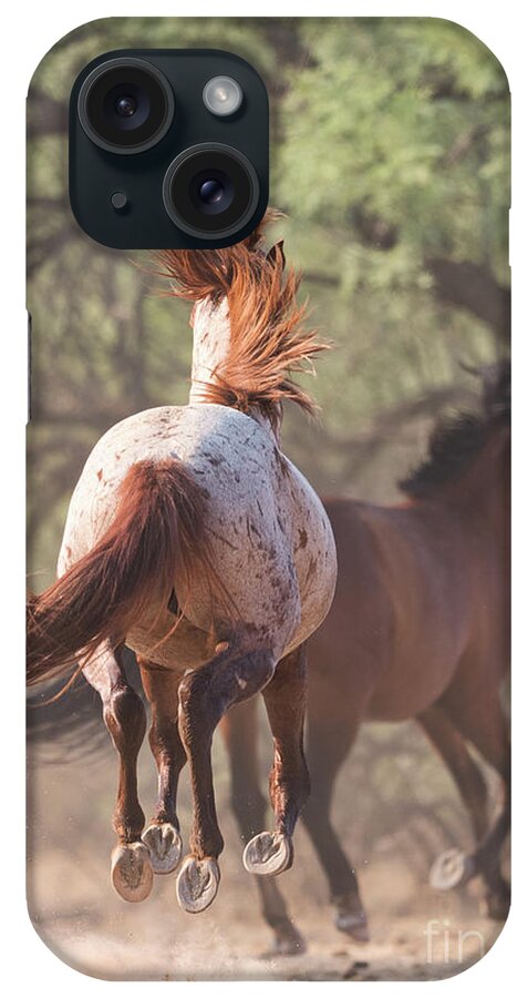 Chase iPhone Case featuring the photograph Perfect Hooves by Shannon Hastings