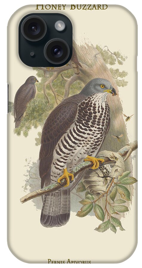 Buzzards iPhone Case featuring the painting Pernis Apivorus - Honey Buzzard by John Gould