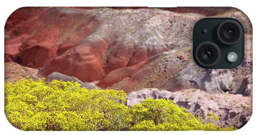 Painted Desert iPhone Case featuring the photograph Petrified Forest 12 by Ricky Barnard