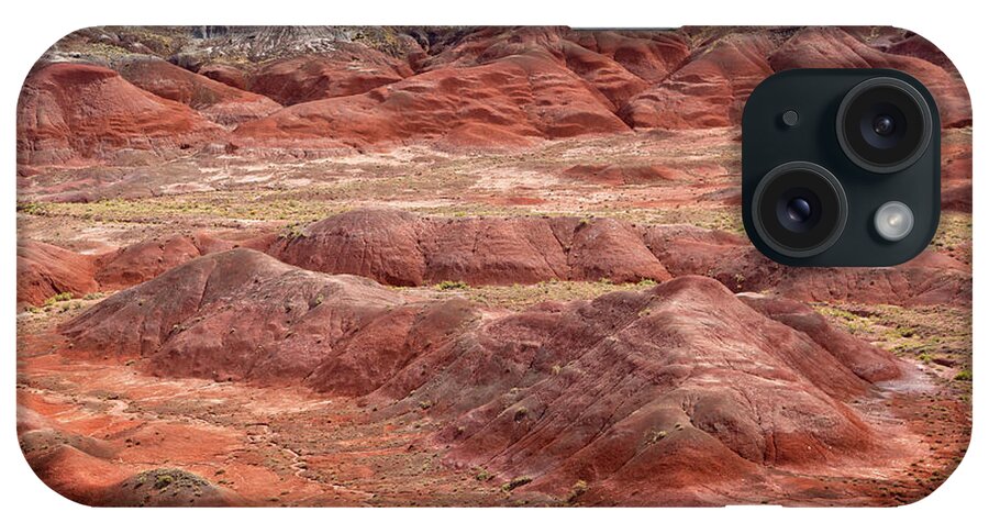 Painted Desert iPhone Case featuring the photograph Petrified Forest 4 by Ricky Barnard