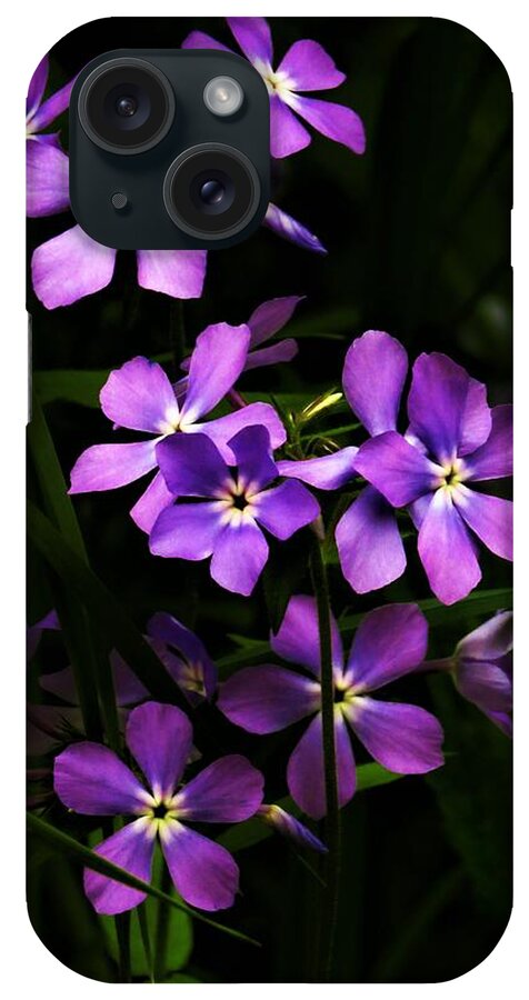 Phlox iPhone Case featuring the photograph Phlox in the Woods by Lori Frisch