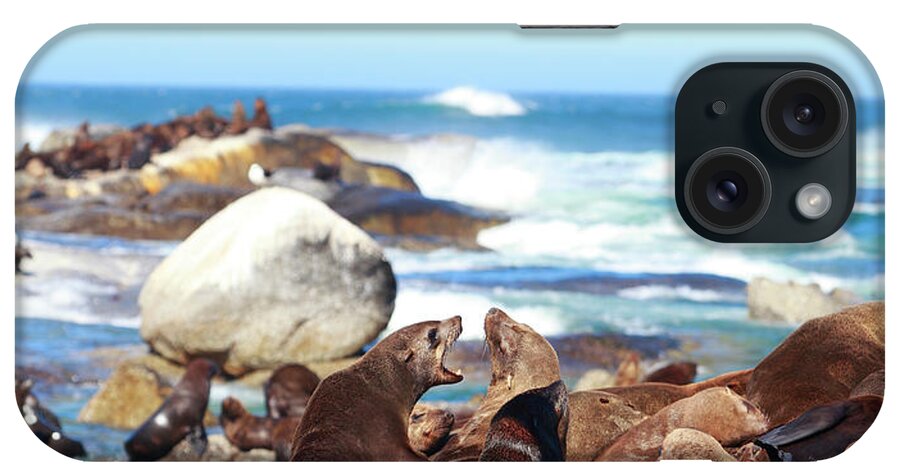 Sea Lion iPhone Case featuring the photograph Picture Of Sea Lion And Seagull by Bo1982