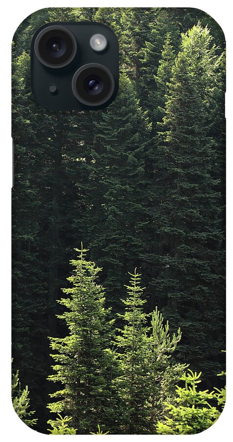 Scenics iPhone Case featuring the photograph Pine Tree by Petekarici