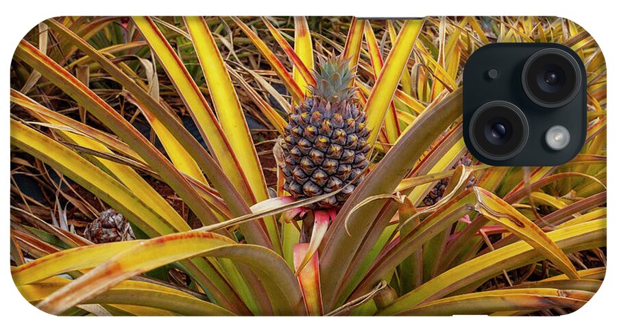 Oahu iPhone Case featuring the photograph Pineapple by Anthony Jones