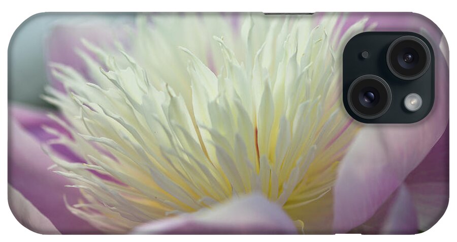 Toronto iPhone Case featuring the photograph Pink And White Peony by Lynda Murtha