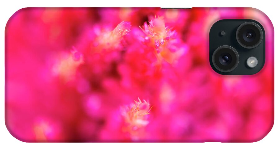 Abstract iPhone Case featuring the photograph Pink Celosia Flower Abstract by Raul Rodriguez