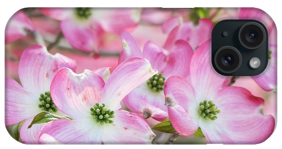 Pink iPhone Case featuring the photograph Pink Dogwood Beauty by Mary Ann Artz