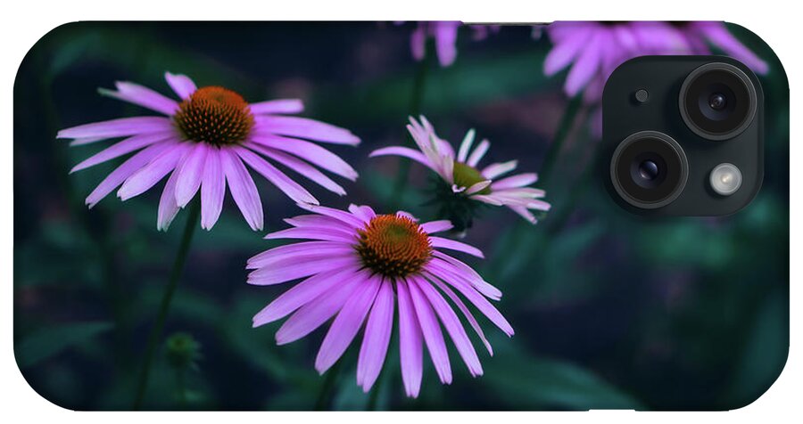 Pink iPhone Case featuring the photograph Pink Echinacea by Jason Fink