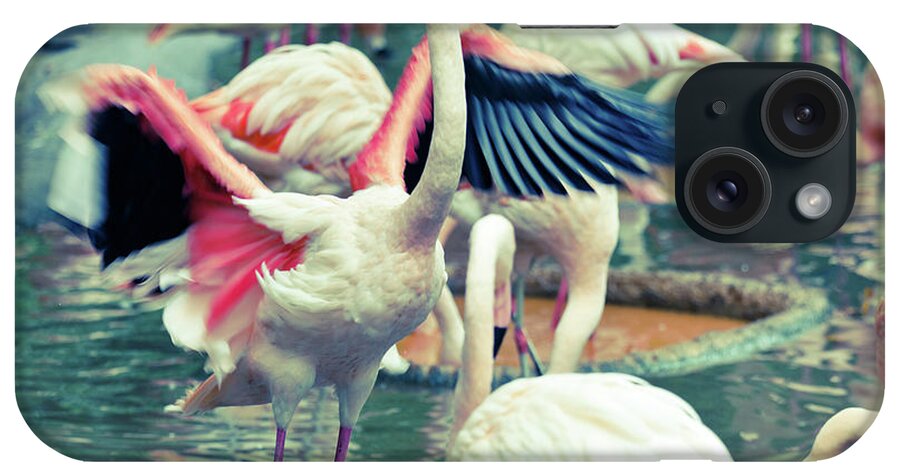 Scenics iPhone Case featuring the photograph Pink Flamingos In A Lake by Moreiso