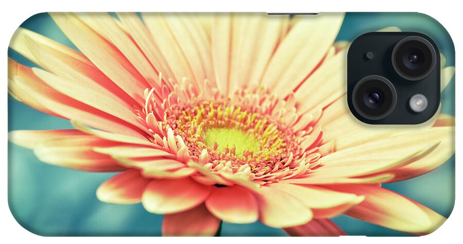 Pink Flower With Frame iPhone Case featuring the photograph Pink Flower With Frame by Tom Quartermaine