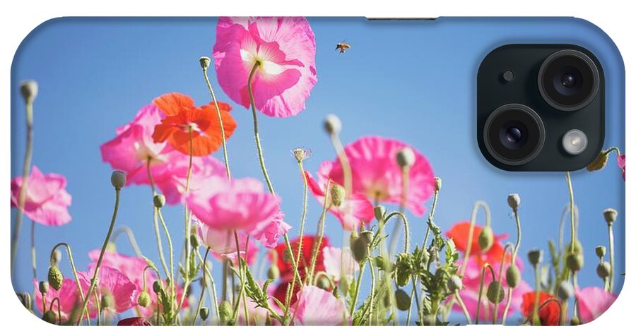 Snow iPhone Case featuring the photograph Pink Flowers Against Blue Sky by Design Pics/craig Tuttle