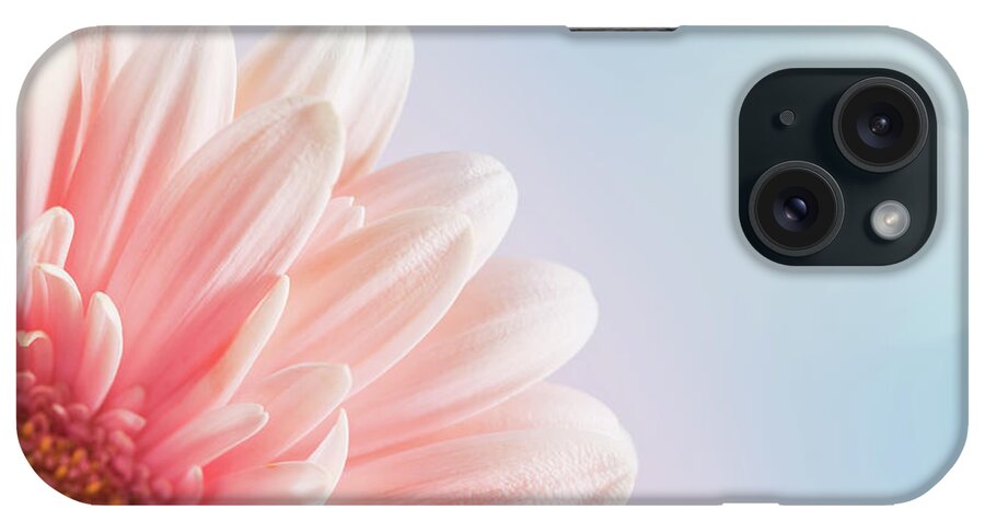 Easter iPhone Case featuring the photograph Pink Gerber by Jeja