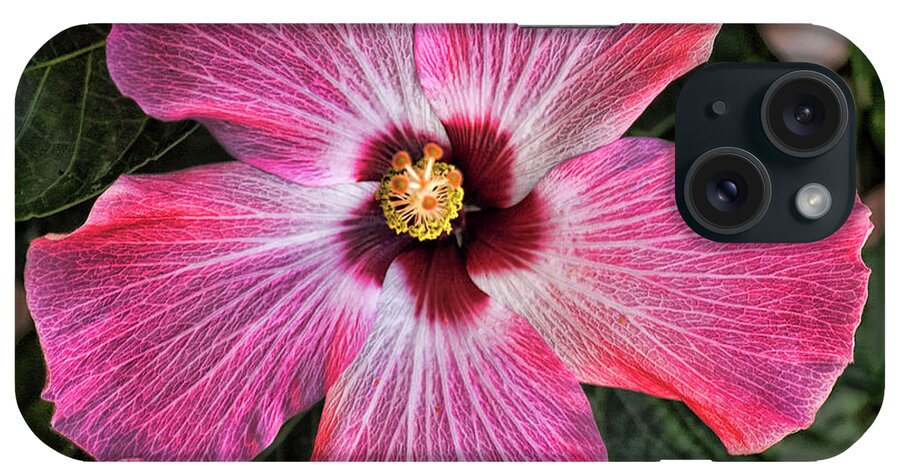 Pink Hibiscus iPhone Case featuring the photograph Pink Hibiscus by Lori Hutchison