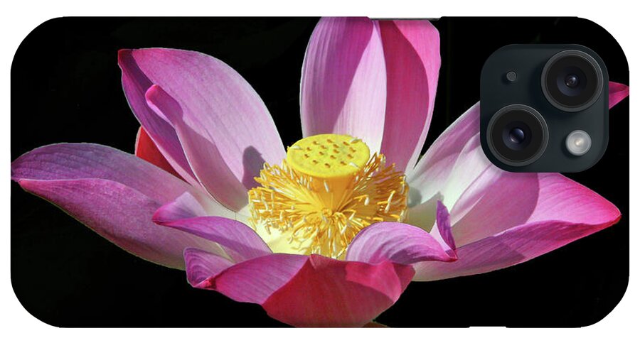 Nature iPhone Case featuring the photograph Pink Lotus Flower by Mariarosa Rockefeller