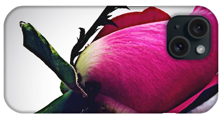 Pink Cy iPhone Case featuring the photograph Pink Rose on Snow by Jori Reijonen