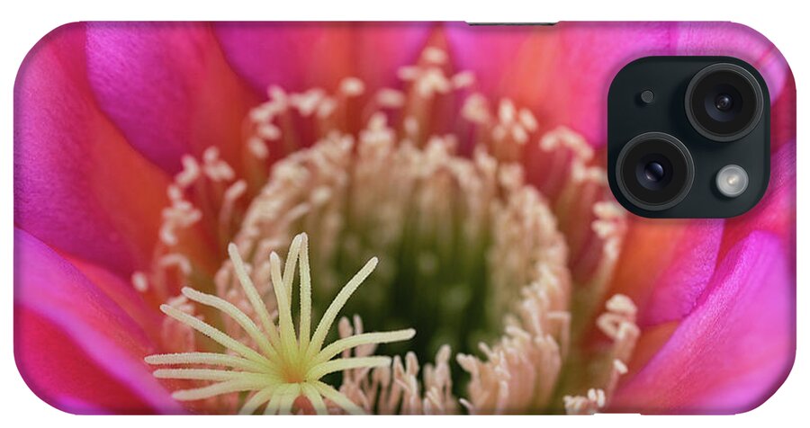 Pink Cactus Flower iPhone Case featuring the photograph Pink Up Close And Close Personal by Saija Lehtonen