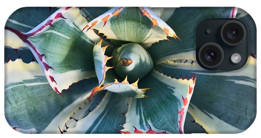 Plant iPhone Case featuring the photograph Pinwheel Succulent by Tom Gresham