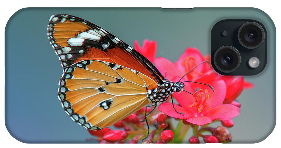 Bangkok iPhone Case featuring the photograph Plain Tiger or African Monarch Butterfly DTHN0246 by Gerry Gantt