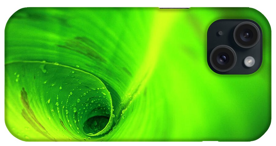 2019-08-16 iPhone Case featuring the photograph Plant Spiral by Phil And Karen Rispin