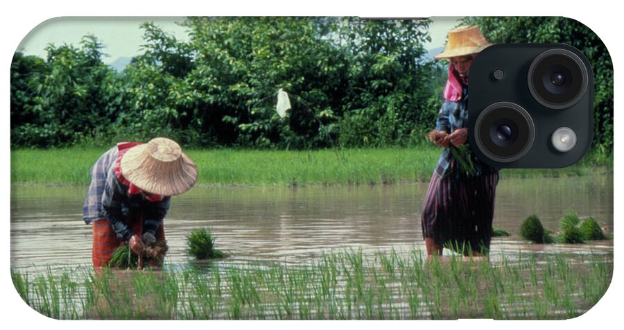 Planting Seedlings iPhone Case featuring the photograph Planting Rice In Paddy Fields by Sue Ford/science Photo Library
