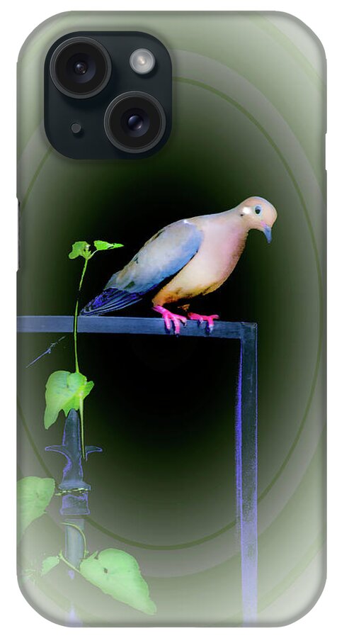 Dove iPhone Case featuring the photograph Please Give Peace A Chance by Diane Lindon Coy