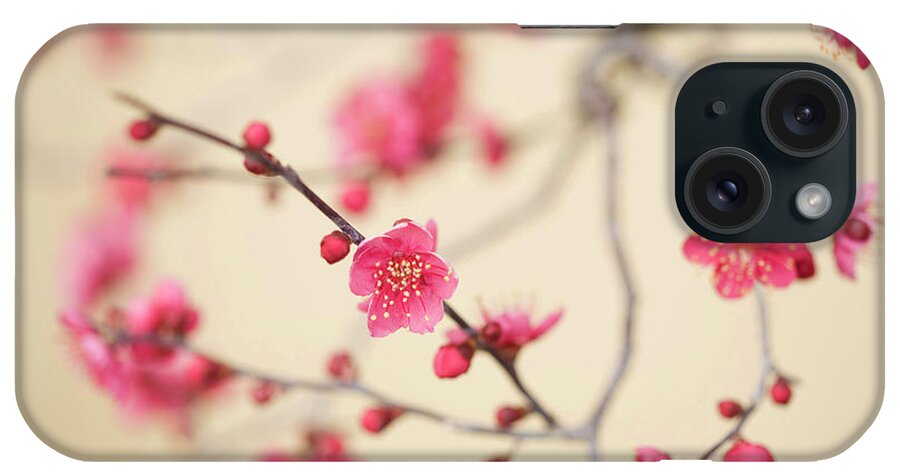 Plum iPhone Case featuring the photograph Plum Blossoms by Sayaka/a.collectionrf