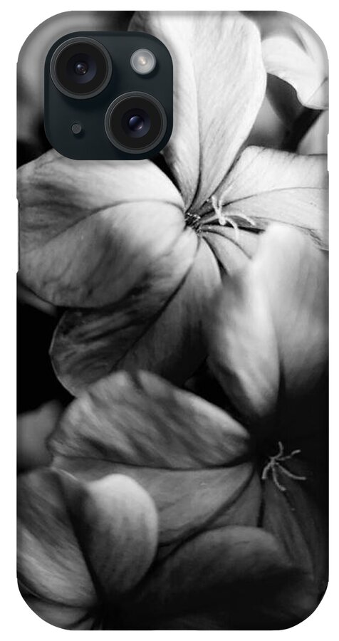 Floral iPhone Case featuring the photograph Plumbago BW by Alexis King-Glandon