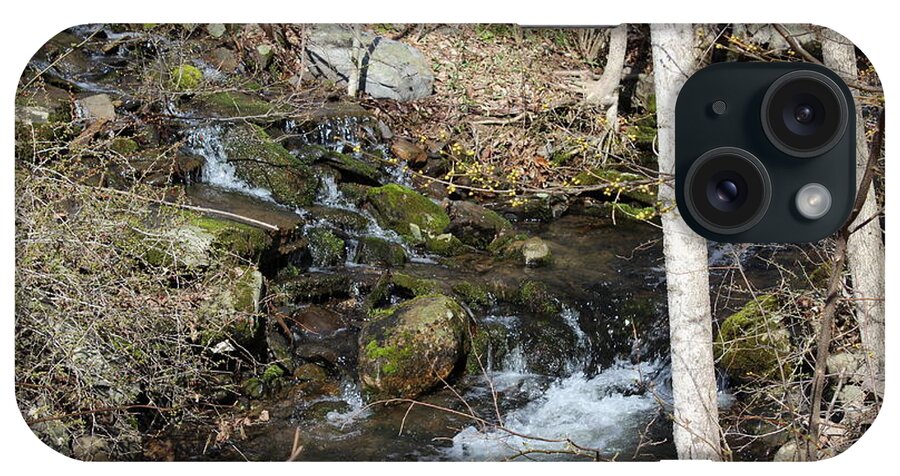 Poconos Big Pond Stream iPhone Case featuring the photograph Poconos Big Pond Stream by Barbra Telfer