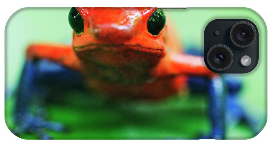 Animal Themes iPhone Case featuring the photograph Poison Dart Frog by Jeremy Woodhouse