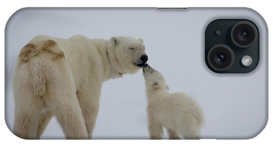 Bear Cub iPhone Case featuring the photograph Polar Bear Mother With Cub by Peter Orr Photography