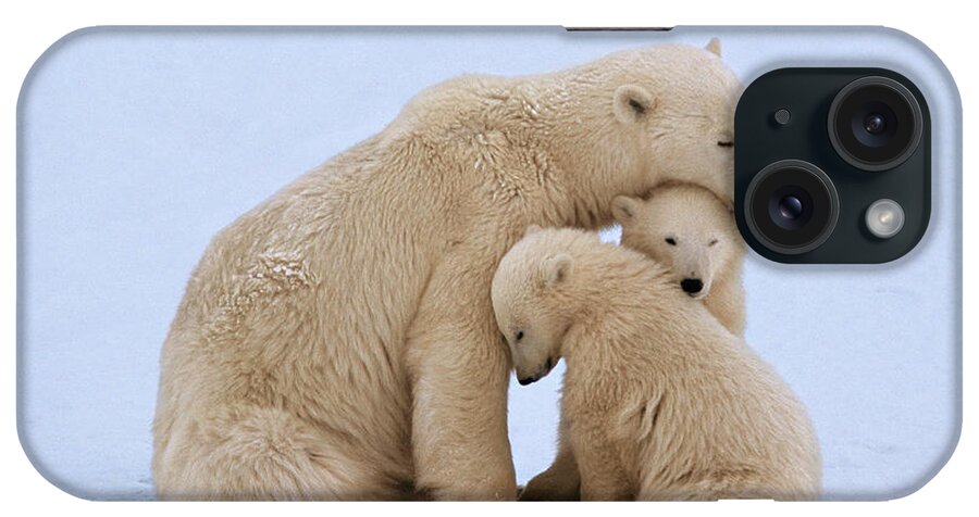 Bear Cub iPhone Case featuring the photograph Polar Bear With Twin Cubs Ursus by Johnny Johnson