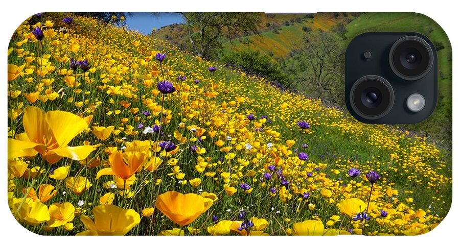Poppies iPhone Case featuring the photograph Poppies Sierra Foothills by Brett Harvey