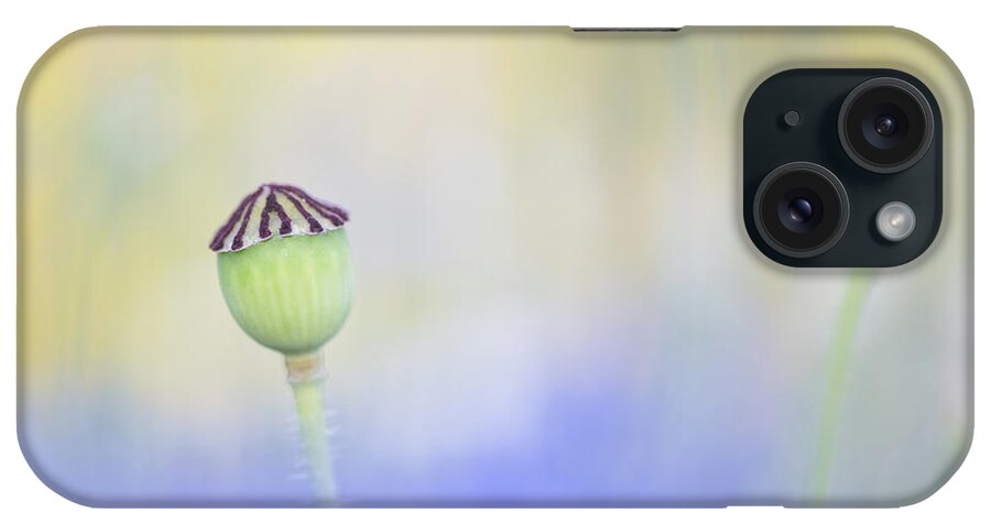 Flower iPhone Case featuring the photograph Poppy seed head in a sea of blue by Anita Nicholson