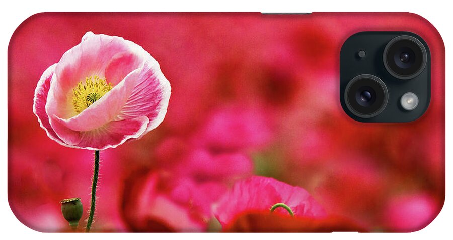Color iPhone Case featuring the photograph Poppy Standing Tall by Jean Noren