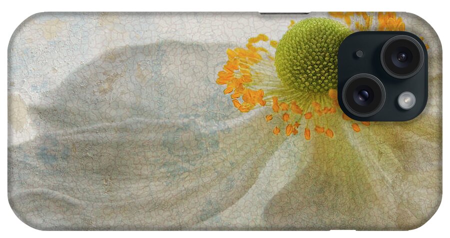 Japanese Anemone iPhone Case featuring the photograph Porcelain by John Edwards