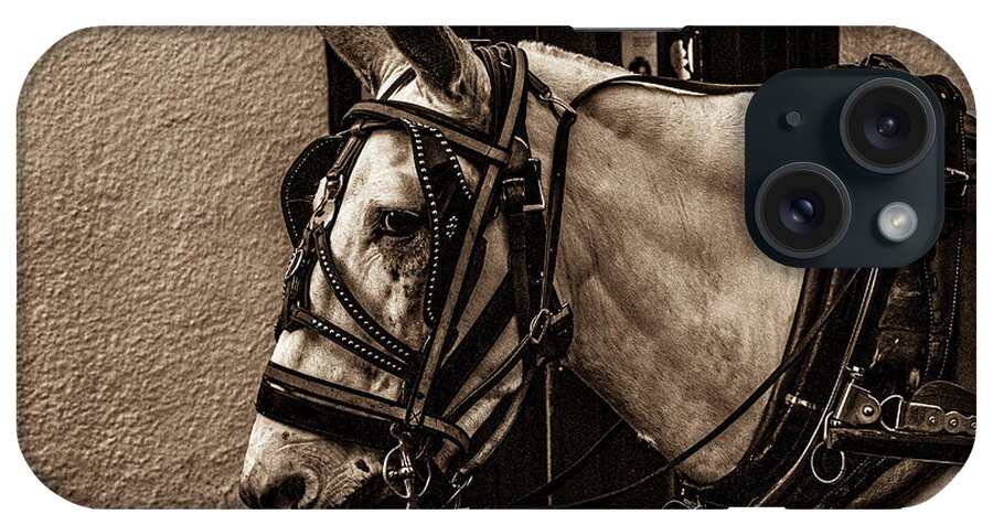 Photo iPhone Case featuring the photograph Portrait of a horse by Jason Hughes
