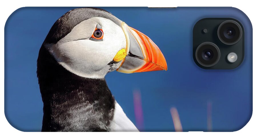 Puffin iPhone Case featuring the photograph Portrait of a Puffin - Staffa - Scotland by Jason Politte