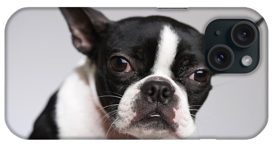 Pets iPhone Case featuring the photograph Portrait Of Dog by Jupiterimages