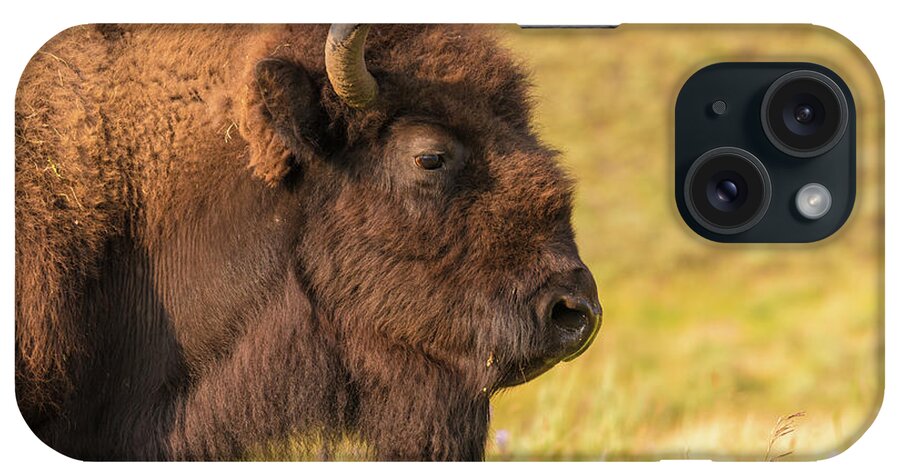 Wild iPhone Case featuring the photograph Power Head by Dheeraj Mutha