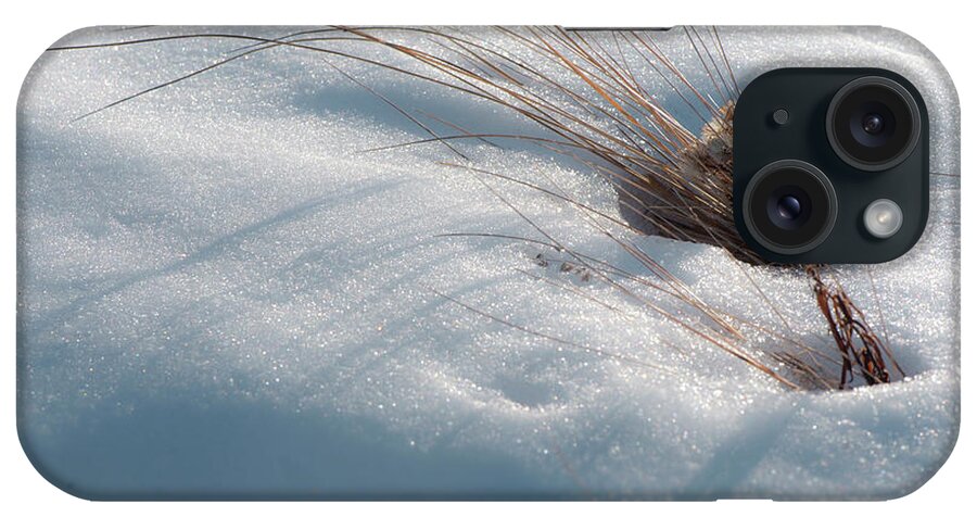Grass iPhone Case featuring the photograph Prairie Grass in Snow by Phil And Karen Rispin