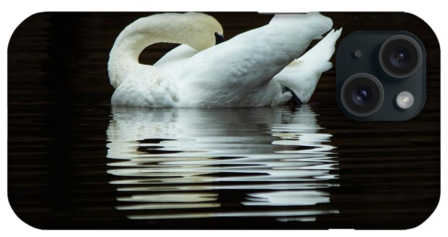 Swan iPhone Case featuring the photograph Preening Mute Swan by Mary Ann Artz