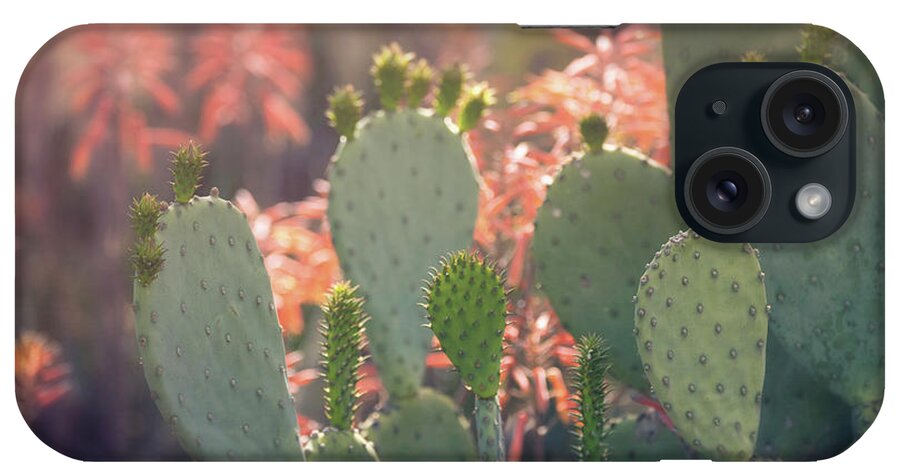 Prickly Pear Cactus iPhone Case featuring the photograph Prickly Pear And Aloe Flowers by Saija Lehtonen