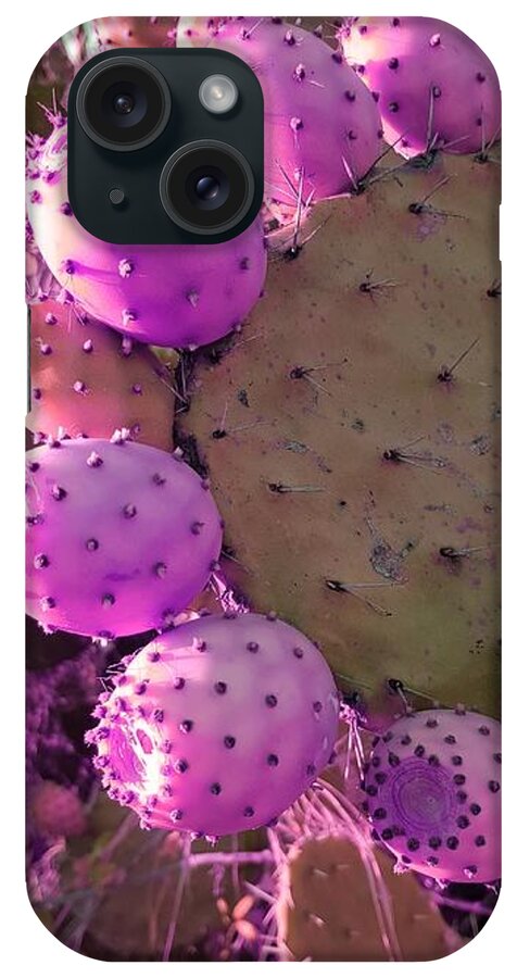 Prickly Pear Cactus iPhone Case featuring the photograph Prickly pear cactus by Paola Baroni