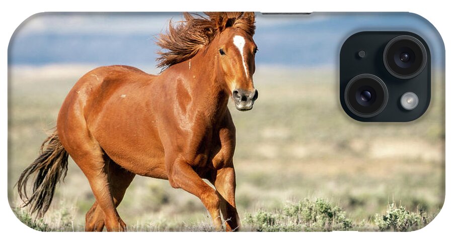 Horses iPhone Case featuring the photograph Proud and Free - Wild Mustang Horse by Judi Dressler