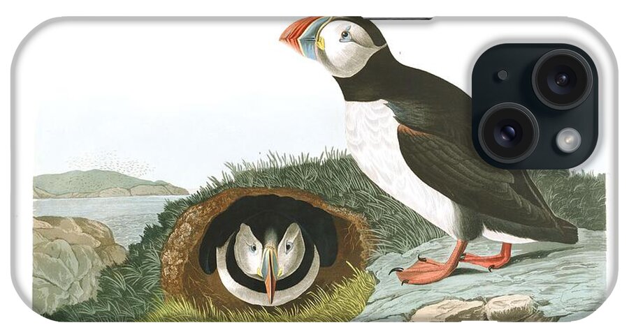 Puffin iPhone Case featuring the painting Puffin by John Audubon by Celestial Images